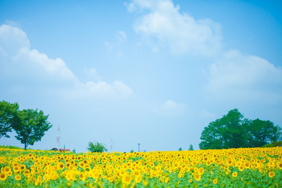 中でも誤嚥に関しては、最も注意が必要です。